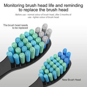 Recambios de cabezales de cepillo de dientes redondos para eliminación de manchas profundas, genéricos para cepillos eléctricos Oral-B, venta al por mayor, fábrica OEM - Product Image 5