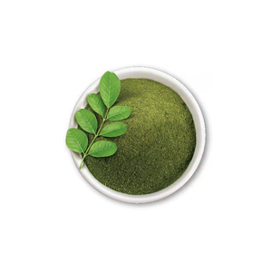 Polvo de Hoja de Moringa Oleifera Verde Orgánica de Primera Calidad, Extracción Líquido-Sólido, Extracto Herbal Sin OMG, 1 Año de Vida Útil, a Granel - Product Image 1