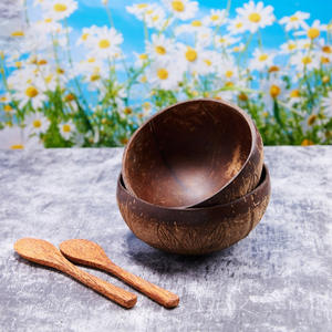 Vajilla sostenible, juego de cuencos y cucharas de coco, cuencos de palma de coco al por mayor, precio más barato, Exportación de fábrica de Vietnam - Product Image 2