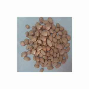 Arachides crues biologiques de haute qualité séchées et rôties avec de l'arachide de coquille de saveur d'ail - Product Image 1