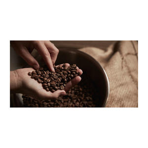 Mezcla de Café Tostado de Primera Calidad, 60% Arábica, 40% Robusta, 1 kg a Granel para Comercio - Product Image 4