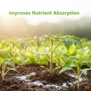 Poudre de dolomite de qualité supérieure |   Idéal pour la fabrication industrielle | Utilisation des matériaux de construction et prix compétitif, approvisionnement fiable - Product Image 4