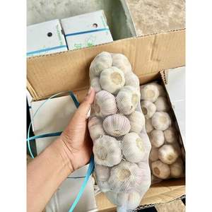 Ail blanc frais de haute qualité dans des sacs en maille de 20kg cartons de prix usine pour la vente en gros de légumes frais - Product Image 6