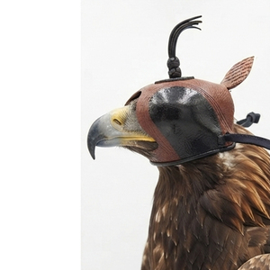 Traditional Leather Falconry Leather Falconry Hood Braided Straps Top Knot One Size Minimalist Design for Hunting Falconry Hood - Product Image 4