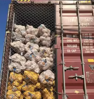 Biologische Droge Kokosnoten Van De Vietnamese Leverancier, Halfgepelde Zoete Geproefde Bulk Verpakt Voor Export Met Een Lage Moq