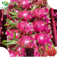 Vers Wit Drakenfruit/Vers Rood Drakenfruit Groothandelsprijs Hoge Kwaliteit Klaar Om Te Exporteren Uit Vietnam
