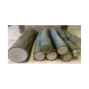 68. 	   Mejor Producto - Construcción en Madera de Haya - Troncos Redondos de Madera en Venta - Exportación de Madera Aserrada de Haya - Product Image 4