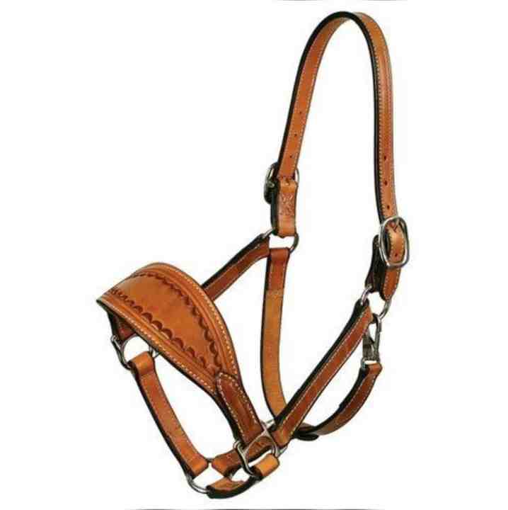 High Quality Horse Halters Premium Leather Halter Horse Barbed Wire Halter Designer Argentina  Wholesale High Comfort Nylon