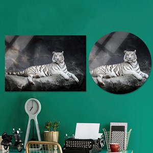 Toile imprimée : Tigre Blanc Gracieux - Art mural animalier minimaliste, Cercle en verre - Product Image 1