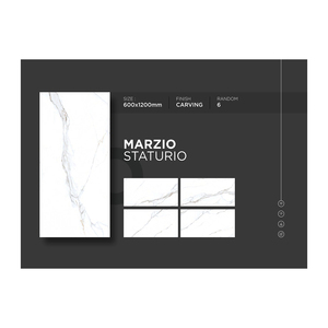 Meilleur choix pour l'intérieur et l'extérieur Design moderne 600x1200 Carreaux de sol en porcelaine polie 5mm d'épaisseur pour les matériaux de construction - Product Image 5