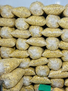 Chips de plátano Premium fritos al vacío, bocadillo dulce crujiente, venta al por mayor, chips de plátano secos, Color Natural de Vietnam, suministro de exportación - Product Image 2