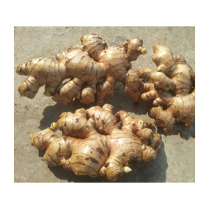 Gingembre frais en vrac du Vietnam de qualité supérieure, gingembre frais de haute qualité avec arôme naturel et saveur épicée pour la cuisine, le thé et l'exportation - Product Image 2