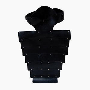 Chaqueta de armadura de cuero medieval para perro armadura de animales hogar decorativo armadura de cuero medieval regalos producto a la venta a bajo precio - Product Image 1