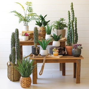 Maceta de Jacinto de Agua, Macetas Tejidas a Mano, Mejor Precio, Fabricante de Cestas para Plantas - Product Image 6