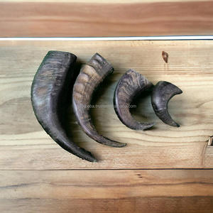 Jouets à mâcher pour chiens en corne de buffle sculptée de haute qualité, en tailles petite, moyenne et grande - Product Image 6