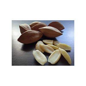 Noix de pili naturelles fournies en vrac pour les snacks et les industries alimentaires - Product Image 3