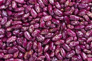 Achetez des haricots rouges secs de haute qualité - Product Image 6