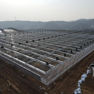 <span class=keywords><strong>Serre</strong></span> agricole multi-travées en polycarbonate type Venlo avec garantie de 10 ans pour la culture de tomates - Product Image 3