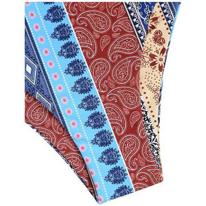 Conjunto de Bikini de 2 Piezas para Mujer, Cuello Halter, Estampado Paisley, Tela Elástica, Braguitas Cheaky, Estampado Digital, Spandex, Poliéster, Traje de Baño - Product Image 3