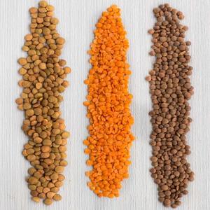 Meilleur prix d'usine sur les lentilles rouges françaises biologiques, grande quantité de lentilles rouges séchées décortiquées 25 kg, durée de conservation de 24 mois - Product Image 1