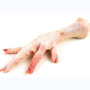 Pieds de poulet de qualité supérieure, produit avicole frais, soigneusement nettoyés pour la restauration, la restauration collective et la cuisine domestique - Product Image 4