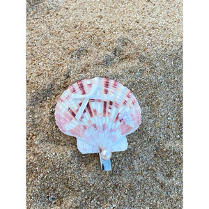 Barrettes en coquille naturelle avec inspiration océanique, idéales pour les fêtes côtières, les événements de voyage et les idées de style de villégiature - Product Image 4