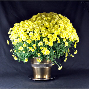 ขาตั้งจานร้อนแบบสามขาทรงกลมทำจากโลหะใช้อเนกประสงค์สำหรับรับประทานอาหารในห้องครัว - Product Image 6