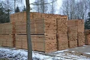 Fournisseur de bois de frêne naturel Exportation de bois de frêne massif - Product Image 4