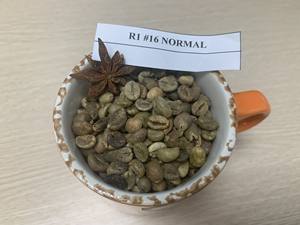 Vente chaude de grains de café vert robusta/arabica de qualité supérieure directement des agriculteurs dans un emballage en sac Échantillons gratuits disponibles - Product Image 2