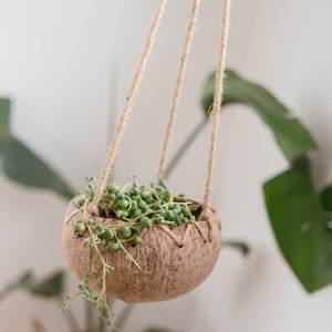Macetas colgantes para decoración de jardín y hogar, maceta para flores de orquídeas, macetas decorativas de cáscara de coco, precio barato - Product Image 6