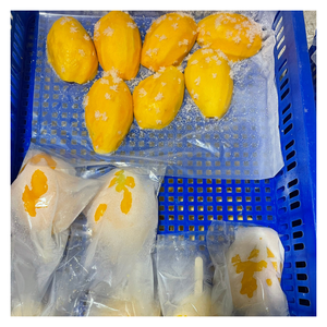 Morceaux de mangue congelés doré du Vietnam, tranches de mangue congelées et morceaux pleins de saveur pour les jus, les sorbets et les desserts glacés - Product Image 3
