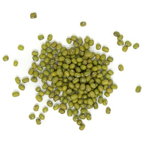 Frijoles Mung Verdes de Alta Calidad, Origen Estadounidense, 25 kg, Grado A, Empaquetado a Granel, Buen Precio, Venta al por Mayor - Product Image 4