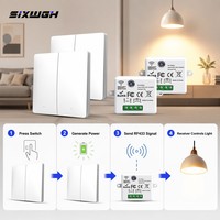 Interrupteur mural sans fil SIXWGH RF433 auto-alimenté à 2 boutons, télécommande sans batterie, 10A, étanche, interrupteur d'éclairage