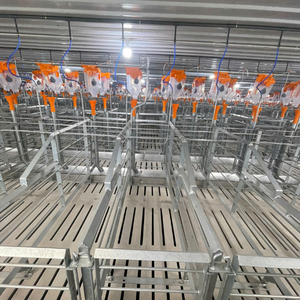 Venta caliente jaulas de gestación para cerdos en gestación de acero inoxidable del fabricante de Vietnam - Product Image 5