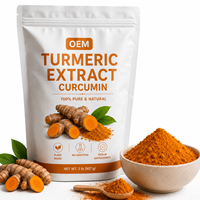 Poudre d'extrait de curcuma naturel en gros, poudre de curcumine, extrait de racine de Curcuma Longa, OEM ODM en vrac pour l'alimentation et les boissons