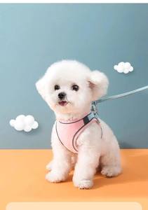 Correa para Perro Simple, Duradera, Ajustable, Reflectante, Acolchada y Lavable, con Cierre de Hebilla, de Poliéster/Nailon, Tamaño Pequeño, Hecha en Vietnam - Product Image 5