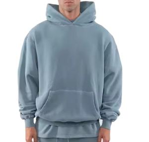 Superior Quality <b>Thick</b> <b>Fleece</b> Anti-shrink Men's Hoodie Heavyweight 100% Cotton Street Style Hoodie For Men Best Price - Product Image 1