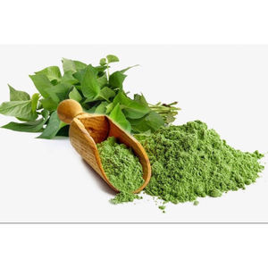 100% POUDRE DE HOUTTUYNIA CORDATA NATURELLE/HERBE DOKUDAMI SÉCHÉE/UTILISATION DÉTOX ET SOIN DE LA PEAU/POUDRE PURE DIEP CA - Product Image 5