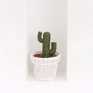 Nordique élégant rotin Cactus Pot pour pépinière enfants chambre chambre salon naturel tissé rotin Cactus décoration enfants décor - Product Image 4
