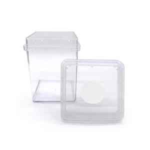 Recipiente de cultivo de tejido vegetal cuadrado con ventilación duradera Contenedor optimizado de flujo de aire para propagación in vitro - Product Image 6