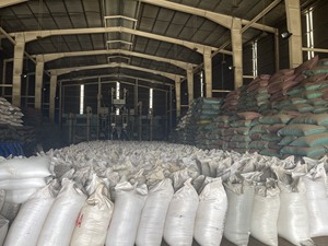 Venta a granel de pimienta negra seca de Vietnam de alta calidad, procesamiento crudo, la mejor cosecha del año, excelente precio - Product Image 4