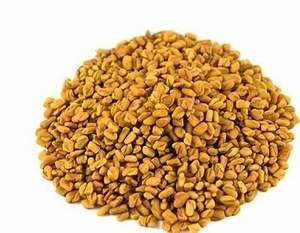 Graines de fenugrec de haute qualité Produit agricole cru pour la cuisson et la consommation Utilisation alimentaire de qualité supérieure - Product Image 1