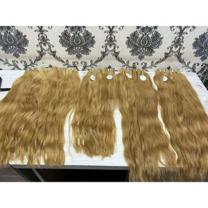 Extensiones de cabello humano Remy indio Rubio de calidad superior Extensiones de cabello tejido de calidad - Product Image 1