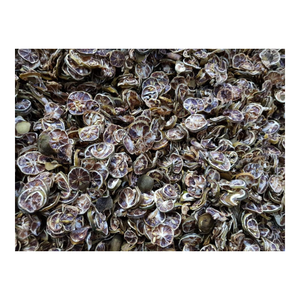 Rodajas de Lima seca para té de frutas, bebidas de desintoxicación y uso de bebidas Suministro natural a granel para mercados de exportación - Product Image 5