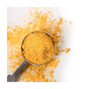 Poudre de fromage 100% naturelle de qualité supérieure, saveur délicieuse, la plus vendue, en vrac, à prix abordable, technique de séchage par pulvérisation - Product Image 1