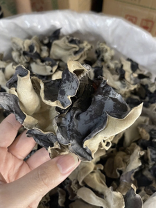 Champignons noirs séchés de qualité supérieure du Vietnam pour la cuisine, les sautés, les soupes, les salades, ingrédient culinaire naturel et biologique - Product Image 3
