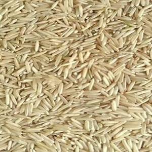 Riz brun jasmin du Vietnam de qualité supérieure, à grains longs, naturellement parfumé, non OGM, en vrac, norme d'exportation, fournisseur en gros, à vendre - Product Image 1