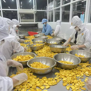 Chips de Jackfruit Secos Premium en Rodajas de Vietnam |   Snack Crujiente Frito al Vacío |   Fruta Deshidratada Orgánica Más Vendida al por Mayor, Fábrica OEM - Product Image 1