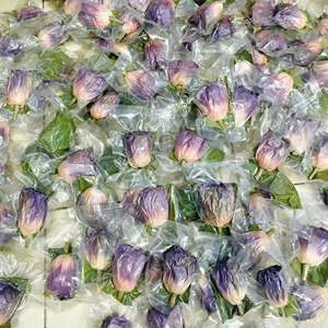 ดอกบัวอบแห้งจากเวียดนามธรรมชาติสำหรับชาสมุนไพรและสุขภาพ - Product Image 1