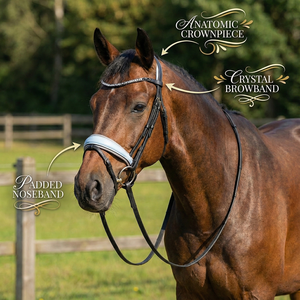 Brida Inglesa Premium de Alta Calidad y Confortable para Caballos, Cuero Negro y Gris con Muserola Acolchada y Diadema con Cristales - Product Image 4